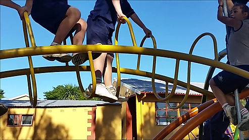 Rustics Tarantula Playground System